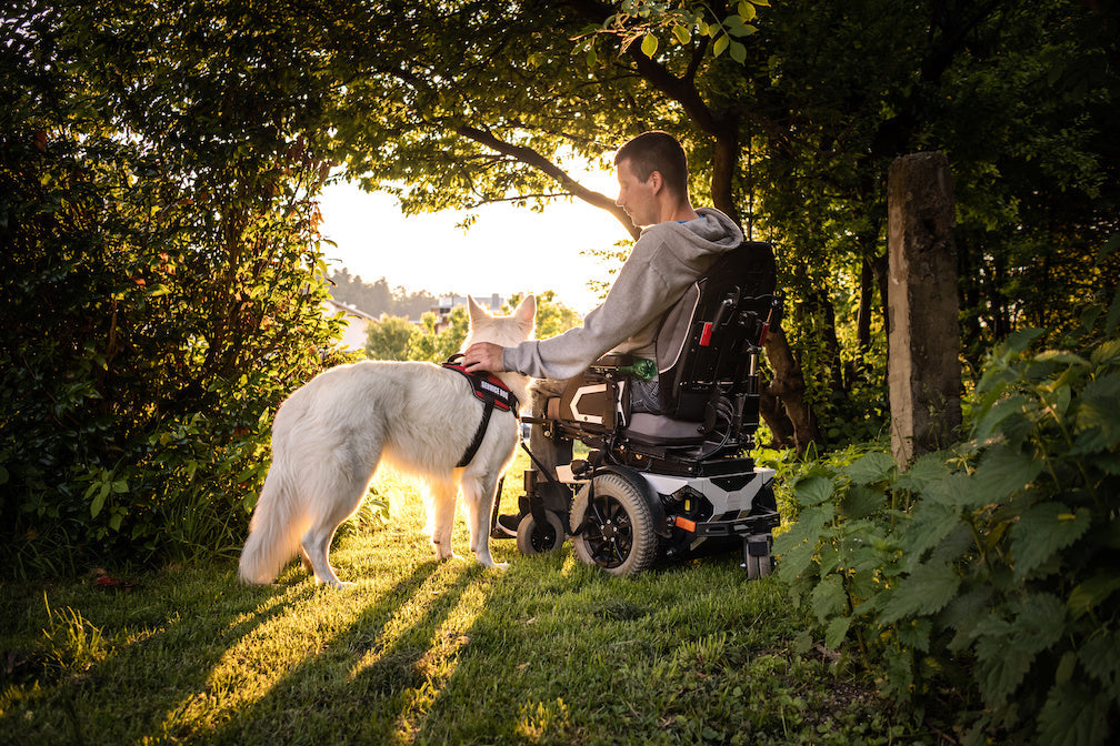 Facts about service dogs: photo of a service dog with a disabled person in an electric wheelchair