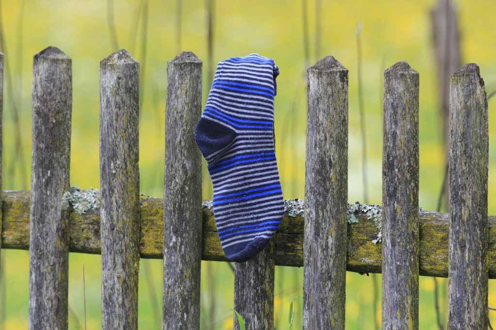 A photo of blue stripped orphan socks placed over an old wooden fence railing.