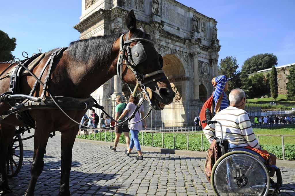 A Man in wheelchair enjoying outdoors roman vacations. On the background the Arch of Constantine and the horse for the sightseeing with the carriage.