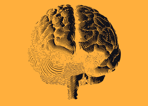 Graphic sketch of a brain that becomes a thumbprint for an article on the lingering mental health effects of a mass shooting in the US.