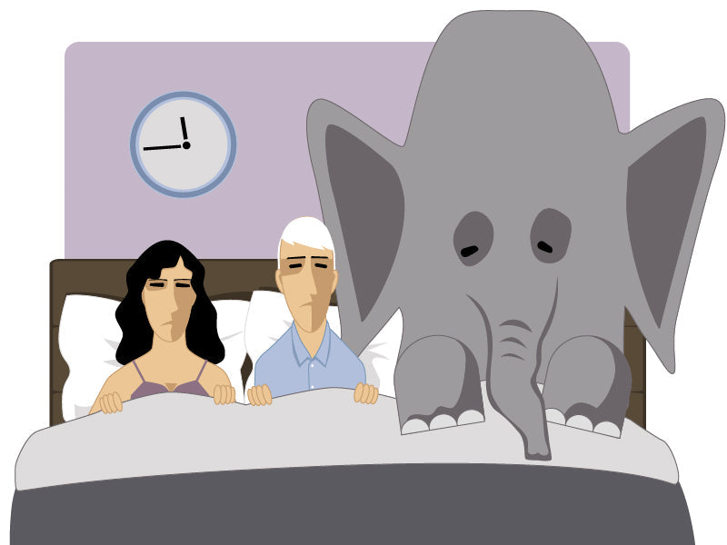 This was not the threesome with my husband I imagined. Illustration of man and woman wearing pajamas in bed with elephant sitting next to them in bed.