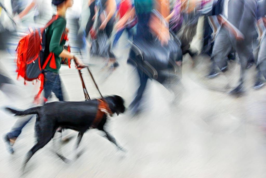 The impact of coronavirus on blind and partially sighted people is clearly apparent when it comes to social distancing. A blurred photo of a blind person and their guide dog walking through a crowed shopping space.