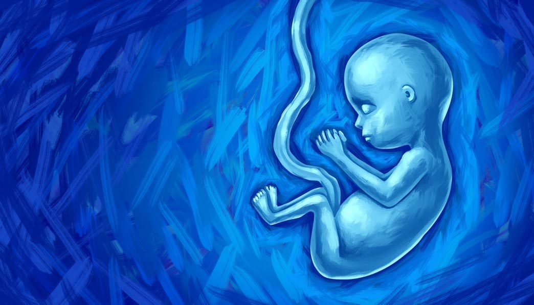 Blue illustration of a fetus and umbilical cord.