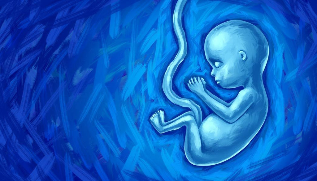Should I get prenatal genetic testing- a blue colored illustation of the fetal development of an unborn baby with an umbilical cord.