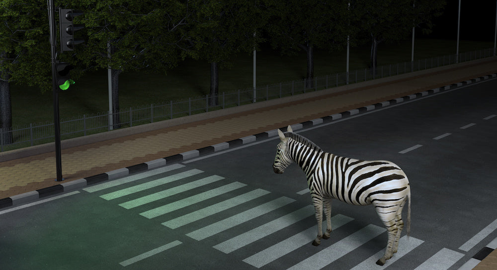 A zebra stands at a striped pedestrian crossing beneath a green traffic light at night.