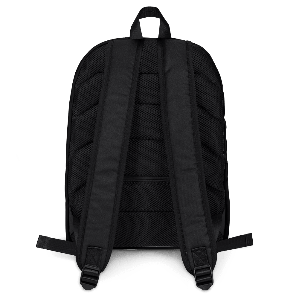 This is a photo of the back of a black backup, showing two padded ergonomic bag straps from polyester with plastic strap regulators.