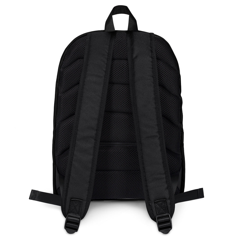 This is a photo of the back of a black backup, showing two padded ergonomic bag straps from polyester with plastic strap regulators.