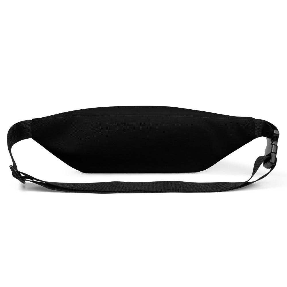 This is a photo of the back of a black waist bag.